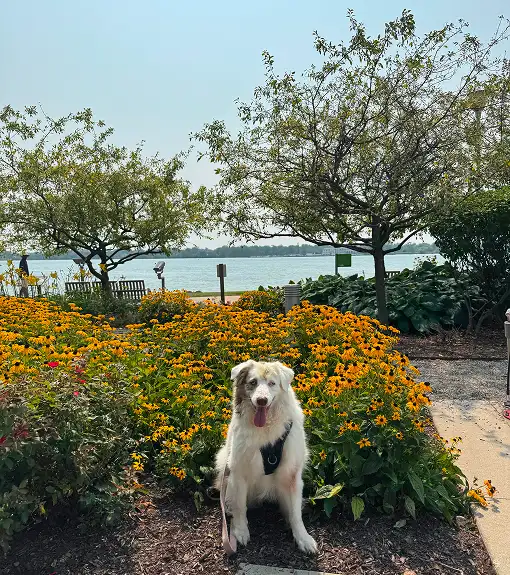 Care and Accountability